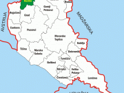 kuzma